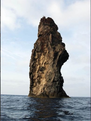  Natural architectures 